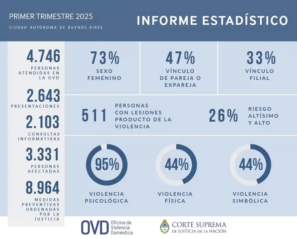Alarmante informe sobre violencia doméstica: crecieron las denuncias y el 73 % corresponde a mujeres