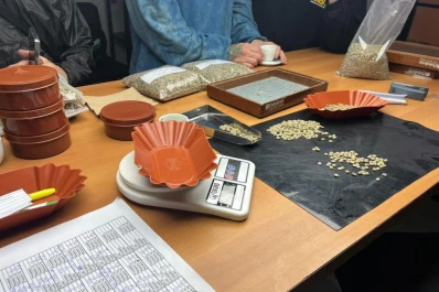 El nuevo y verdadero sabor de especialidad, directo en tu mesa con Café Black