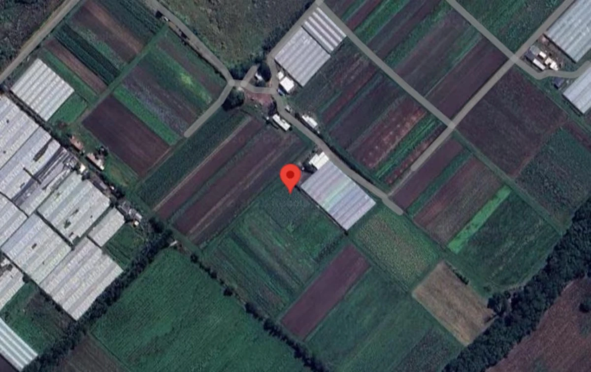 LA PLATA. La zona de Arturo Seguí donde hallaron el cadáver de Valentino.