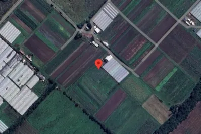 Horror en La Plata: hallaron muerto a un niño de dos años son signos de mordeduras