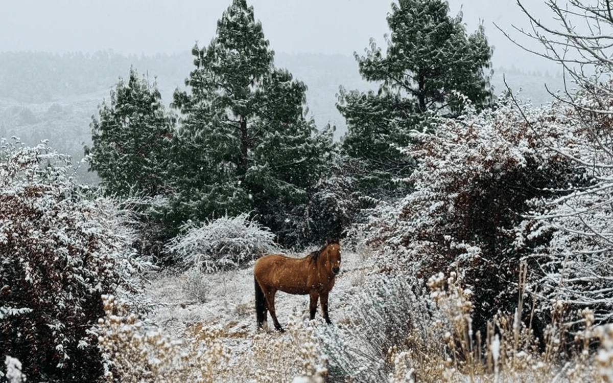 Dos provincias deberán tomar las precauciones necesarias para evitar que el frío extremo afecte la salud.