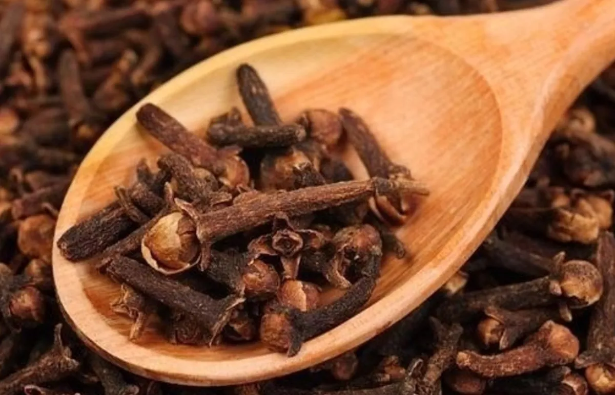 Te de clavo de olor y orégano: ¿el remedio casero definitivo para la tos, los mocos y el dolor de garganta?