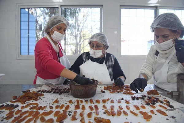 De fruta olvidada a dulzura compartida: la historia de la naranja agria en Tucumán