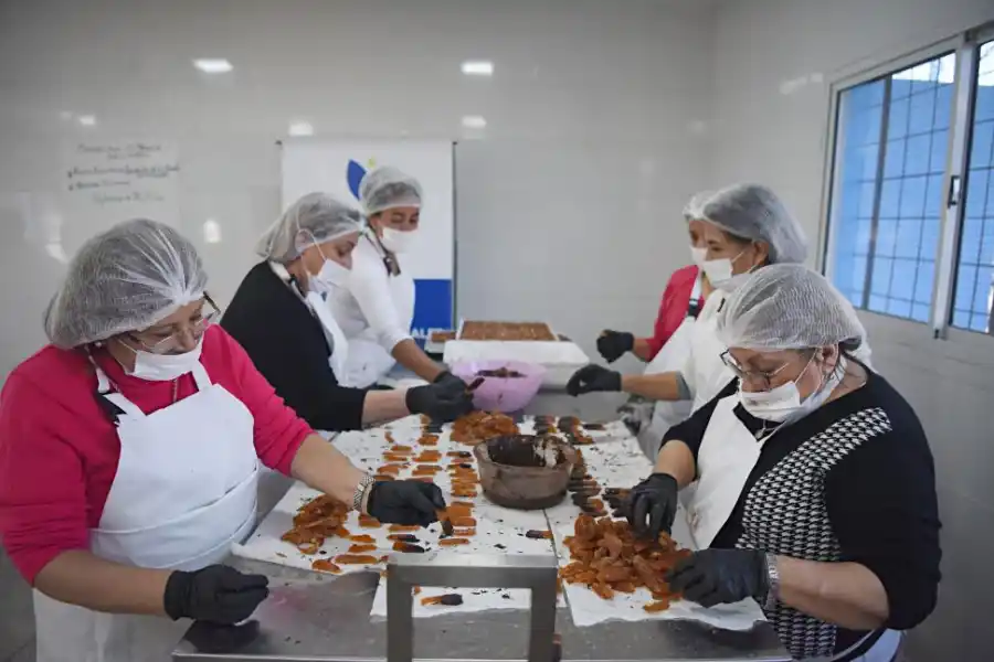 De fruta olvidada a dulzura compartida: la historia de la naranja agria en Tucumán