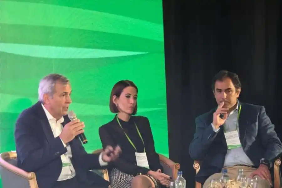 Estancamiento del sector bionergético en Argentina: “Nos estamos pegando un tiro en el pie”