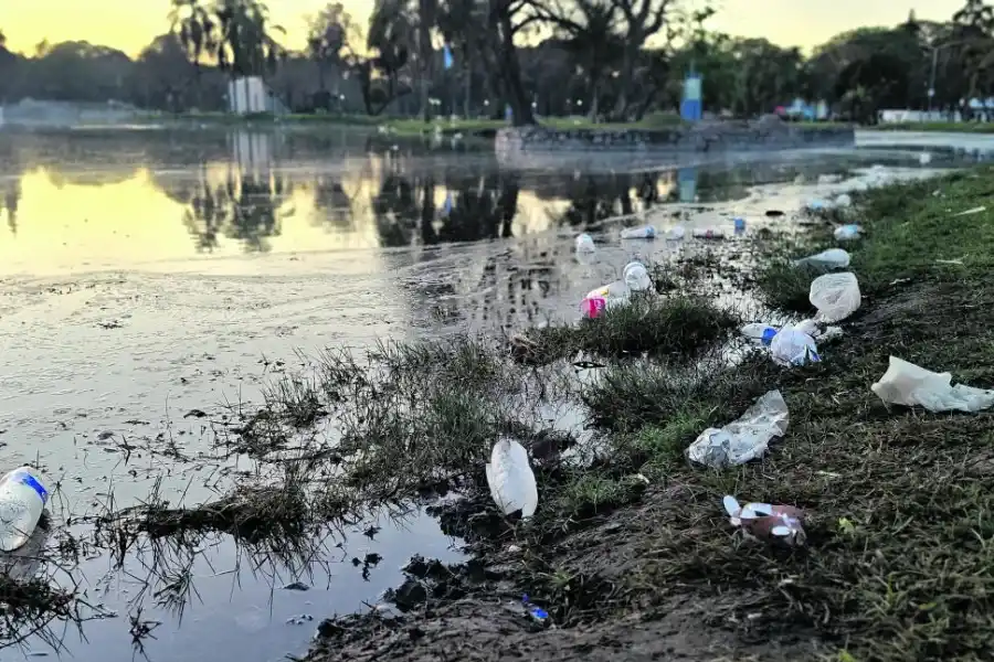 TONELADAS DE RESIDUOS. “Las imágenes de la basura reflejan tristeza y falta de progreso”, opinó Viruel.
