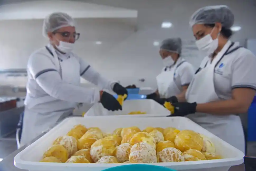 De fruta olvidada a dulzura compartida: la historia de la naranja agria en Tucumán