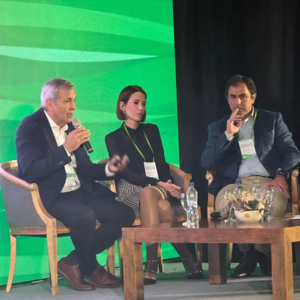 Estancamiento del sector bionergético en Argentina: “Nos estamos pegando un tiro en el pie”