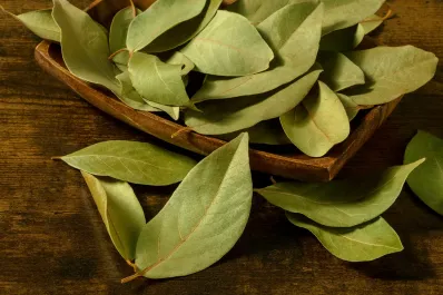 Poné laurel en el baño y mirá lo que pasa: cuatro formas simples y poderosas