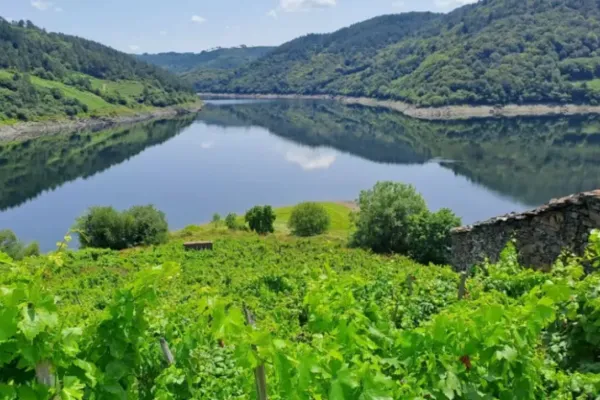 Senderismo en Galicia: la ruta veraniega que conquista en plena Ribeira Sacra