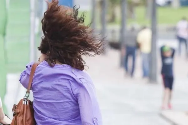 Alerta amarilla por fuertes vientos, zonda y nevadas: ¿qué zonas están en riesgo?