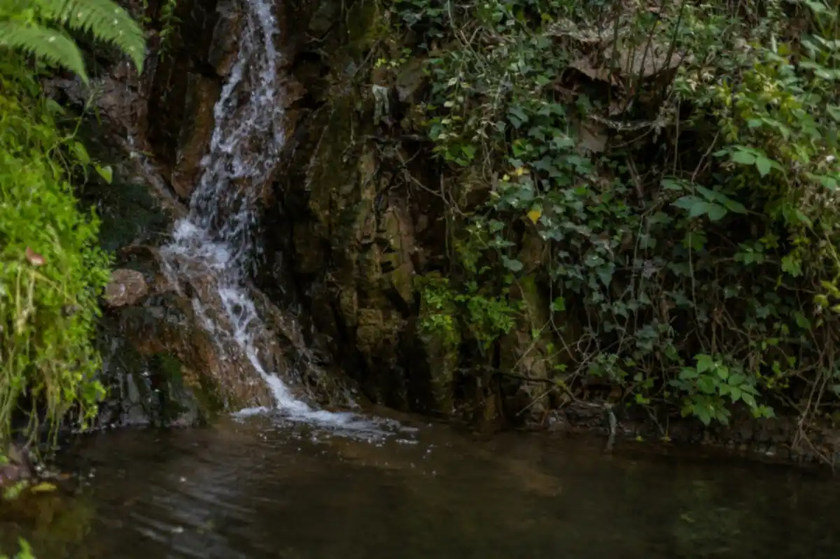 Arbúcies, el secreto mejor guardado de Cataluña: jardines de ensueño y rutas inolvidables en el corazón del Montseny