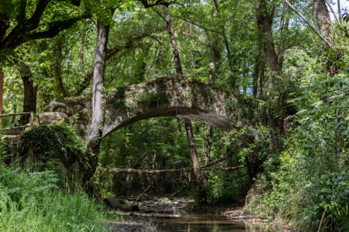Arbúcies, el secreto mejor guardado de Cataluña: jardines de ensueño y rutas inolvidables en el corazón del Montseny