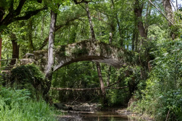 Arbúcies, el secreto mejor guardado de Cataluña: jardines de ensueño y rutas inolvidables en el corazón del Montseny
