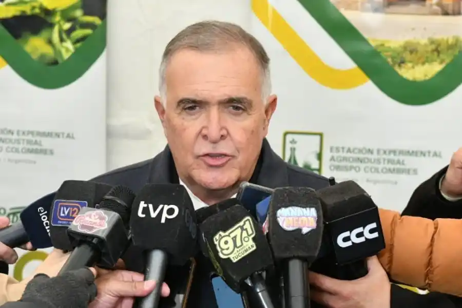 Osvaldo Jaldo, gobernador de Tucumán.