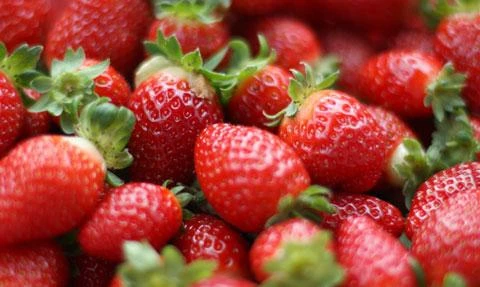 Las frutas, y su impacto real en la economía