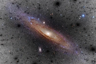 Una mirada al universo: estrellas que se alimentan de materia oscura