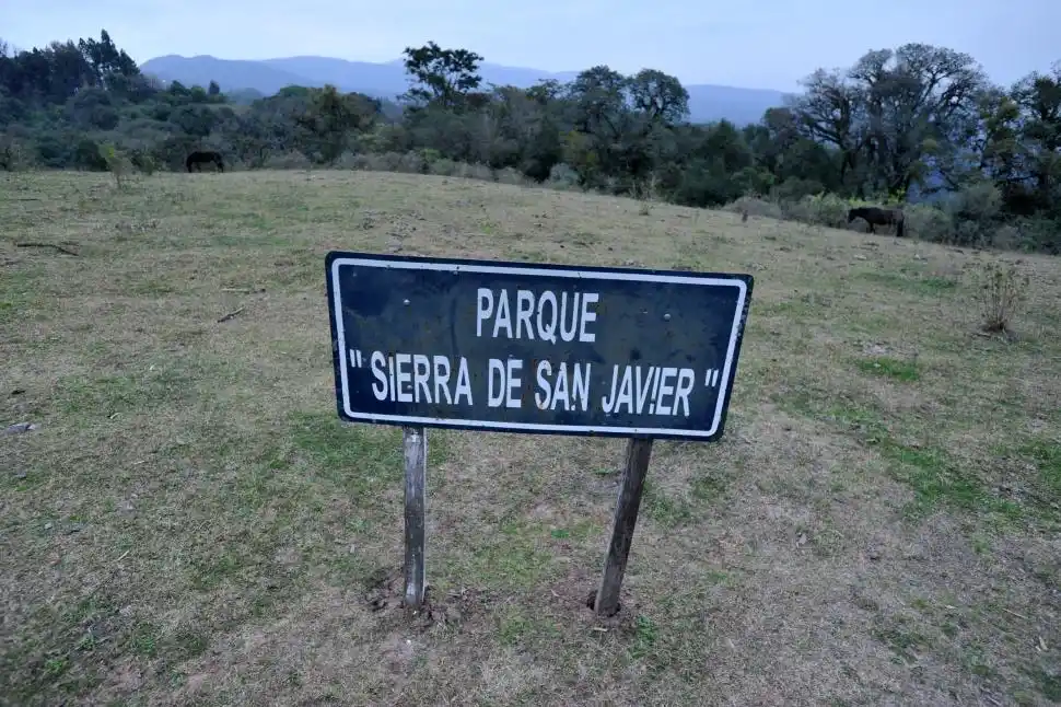 COMPROMISO UNIVERSITARIO. Proteger el parque Sierra de San Javier.
