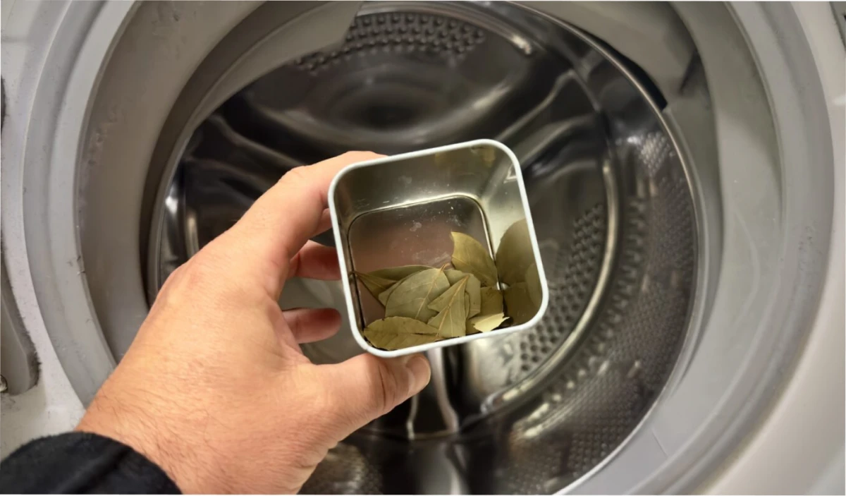 ¿Por qué deberías colocar una hoja de laurel en el lavarropas?