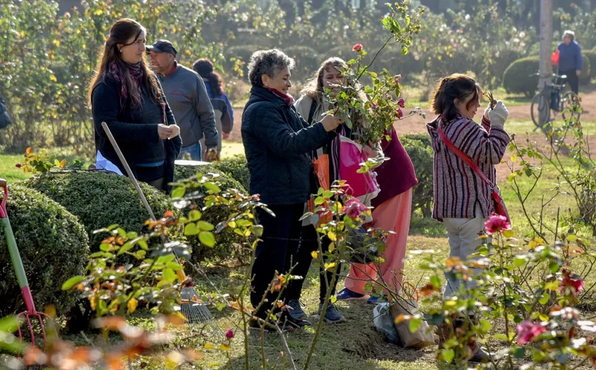 El Rosedal para los tucumanos: vecinos podrán retirar esquejes gratis para plantar