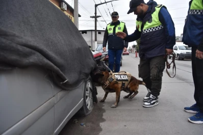 Lebrón, el perro policía que detecta droga en segundos