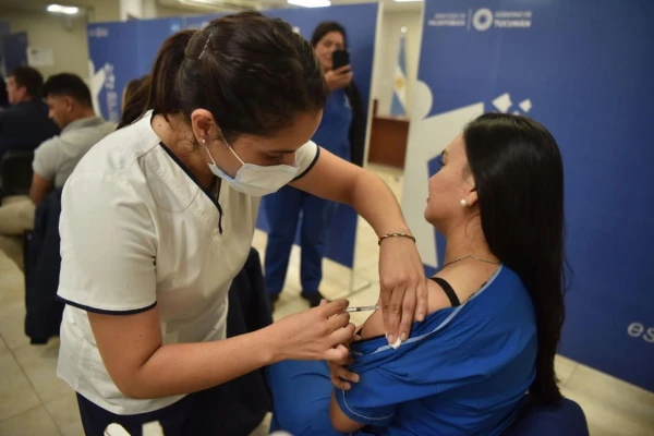 Dengue: el desafío de prevenir antes de la próxima epidemia