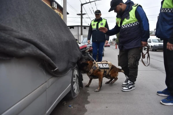 Lebrón, el perro policía que detecta droga en segundos