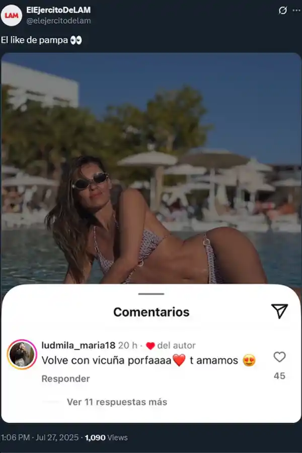 ¿Pampita dispuesta a volver con Vicuña?: El sorpresivo gesto de la modelo en redes sociales