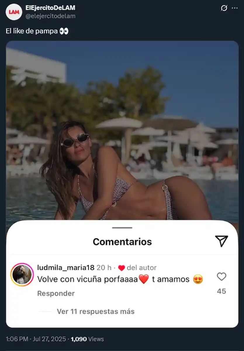 ¿Pampita dispuesta a volver con Vicuña?: El sorpresivo gesto de la modelo en redes sociales