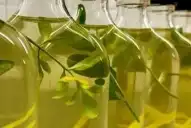 Cómo preparar la caña con ruda para el 1 de agosto y cuál es el significado de esta tradición