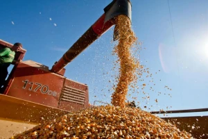 Baja de retenciones: el impacto en el NOA sigue siendo limitado