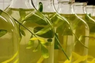 Cómo preparar la caña con ruda para el 1 de agosto y cuál es el significado de esta tradición