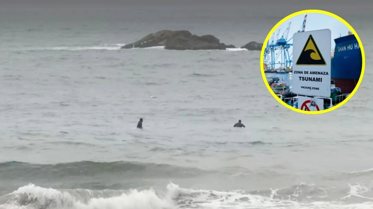 Insólito: surfistas desafiaron la alerta de tsunami y entraron al mar en Reñaca