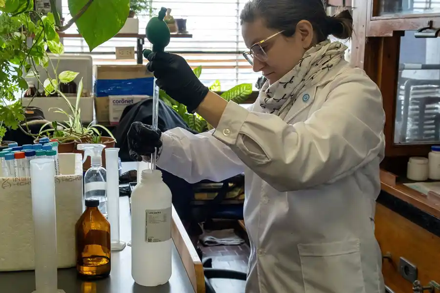 CIENTÍFICOS. El equipo analiza saliva infantil para detectar marcas epigenéticas de violencia y aportar evidencia científica temprana de abuso. 