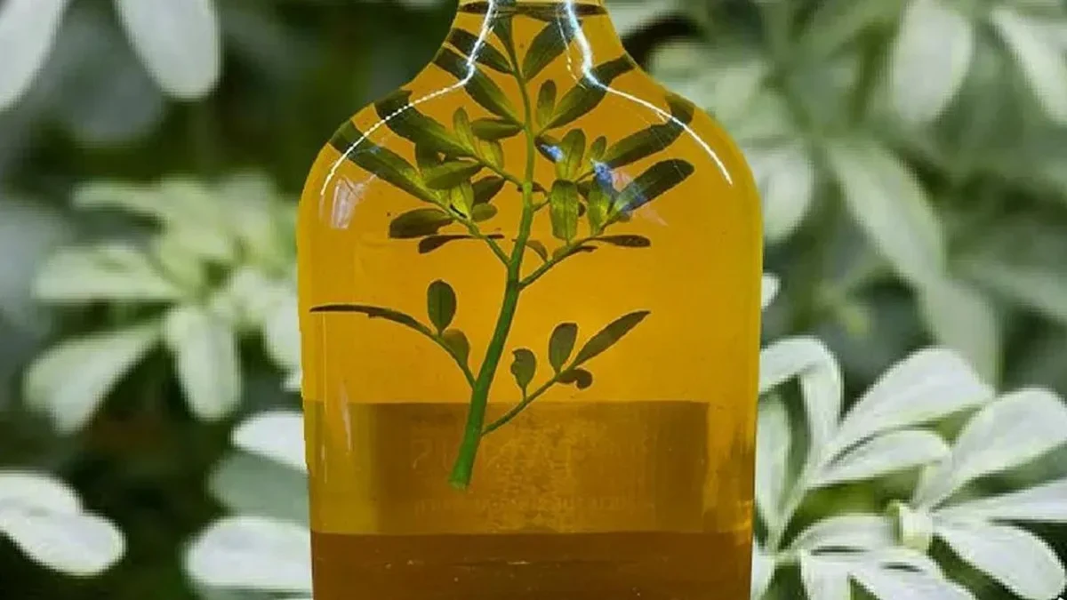 La tradición dice que la caña con ruda se toma el 1° de agosto en ayunas