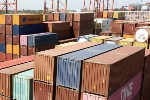 El Gobierno flexibilizó los trámites para importar diferentes productos al país