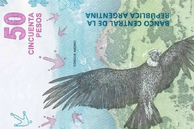 ¿Tenés uno en casa? Pagan hasta $2 millones por este billete