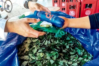 Se espera un ajuste del precio de la hoja de coca en el NOA