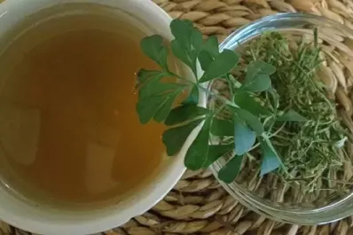 Día de la Pachamama: ¿Quiénes no deberían beber té de ruda y por qué?