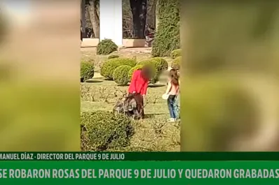 Dos personas robaron rosas en el parque 9 de Julio