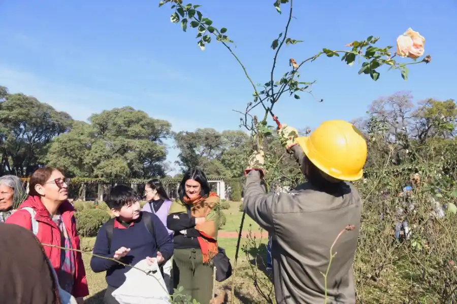 Del parque 9 de Julio a casa: regalaron gajos de rosas en El Rosedal