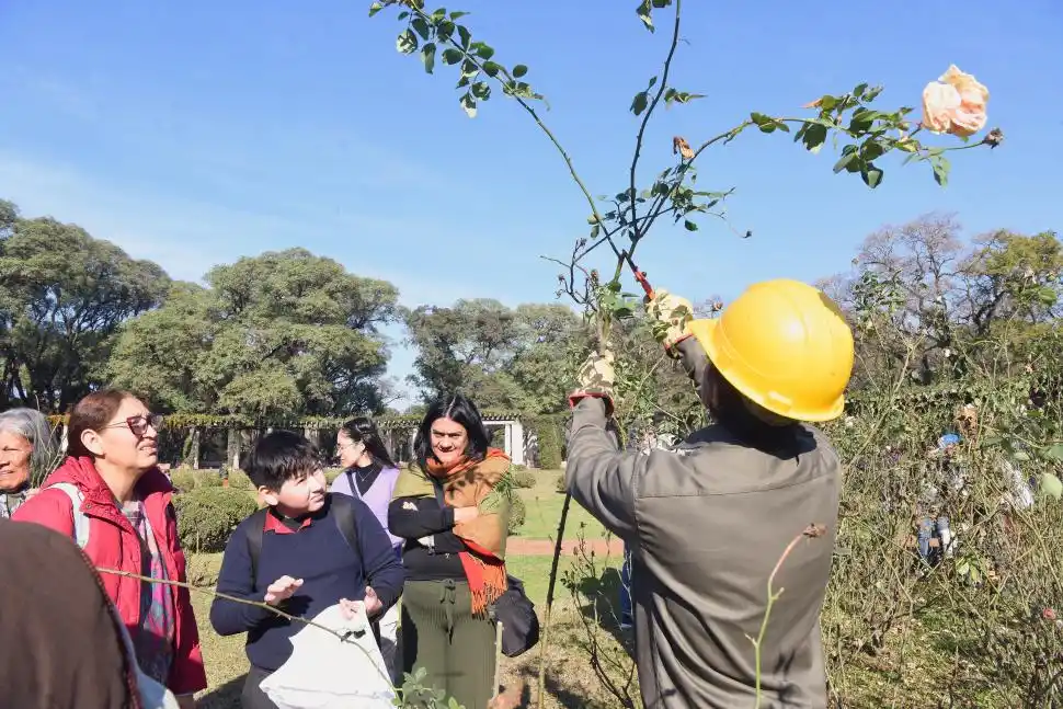 Del parque 9 de Julio a casa: regalaron gajos de rosas en El Rosedal