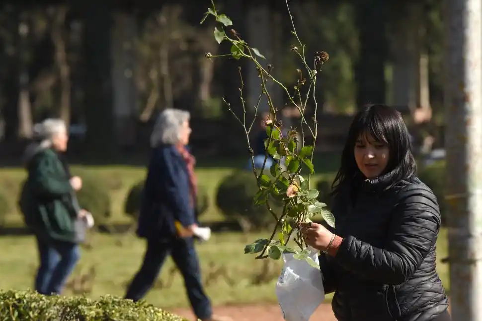 Del parque 9 de Julio a casa: regalaron gajos de rosas en El Rosedal
