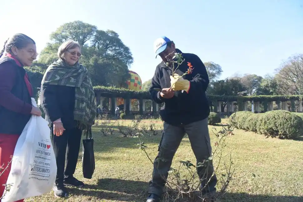 Del parque 9 de Julio a casa: regalaron gajos de rosas en El Rosedal