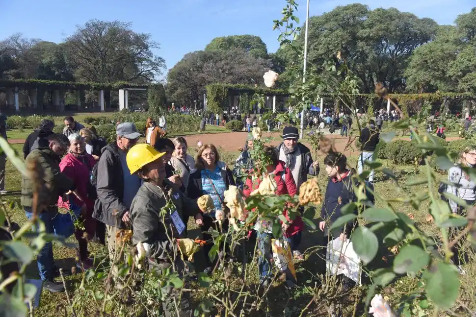 Del parque 9 de Julio a casa: regalaron gajos de rosas en El Rosedal
