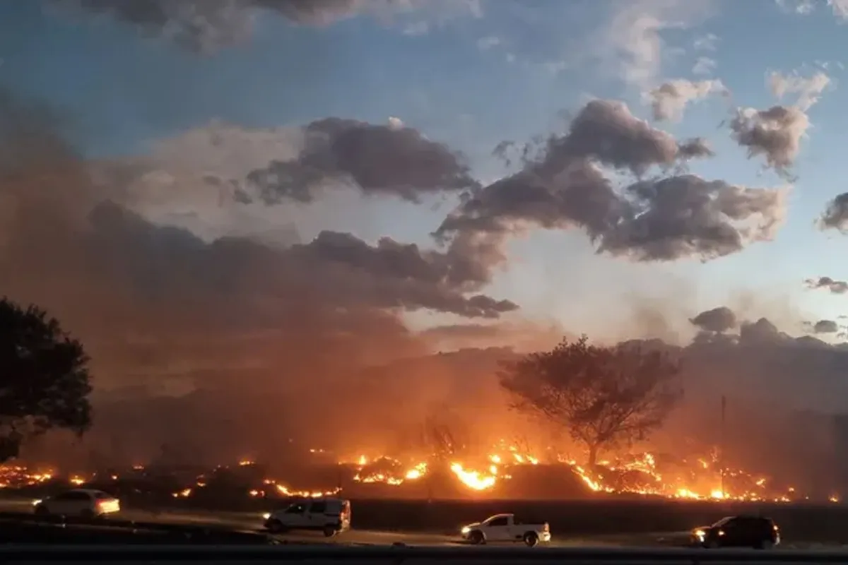 Grave incendio en Jujuy: se quemaron 300 hectáreas de pastizales y también viviendas