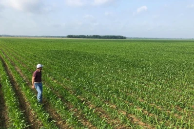 Ciencia y campo: el aporte del ingeniero agrónomo