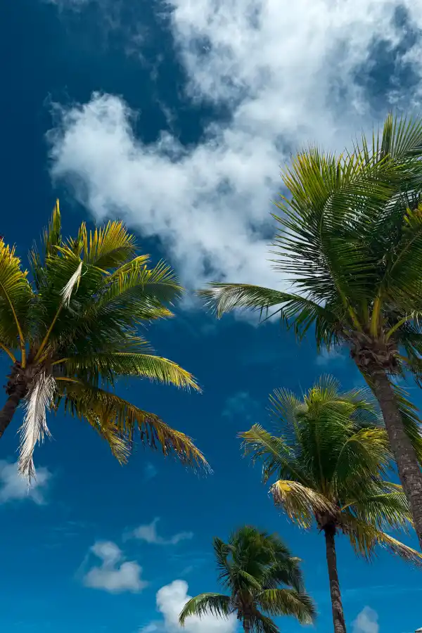Guía de viaje: San Salvador de Bahamas, la isla donde desembarcó Colón