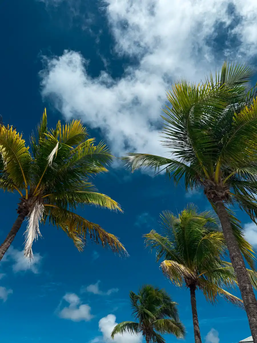 Guía de viaje: San Salvador de Bahamas, la isla donde desembarcó Colón