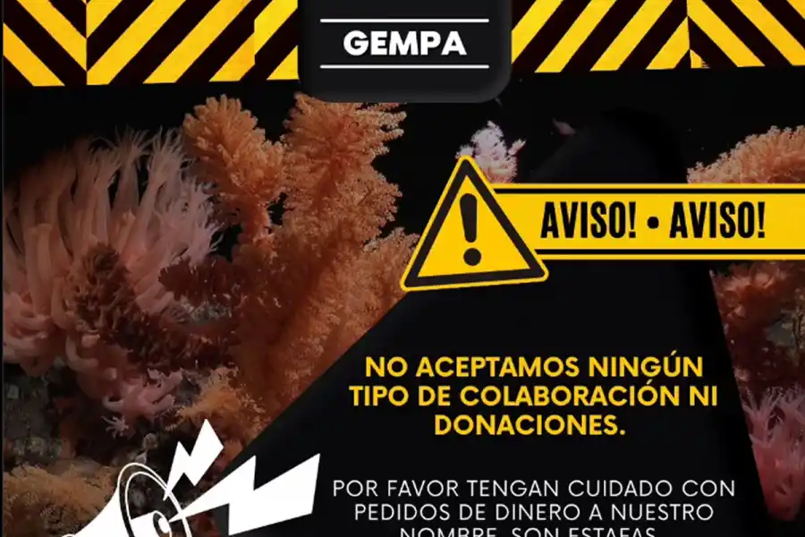 Cuidado: intentan estafar pidiendo dinero para la expedición del Conicet bajo el mar